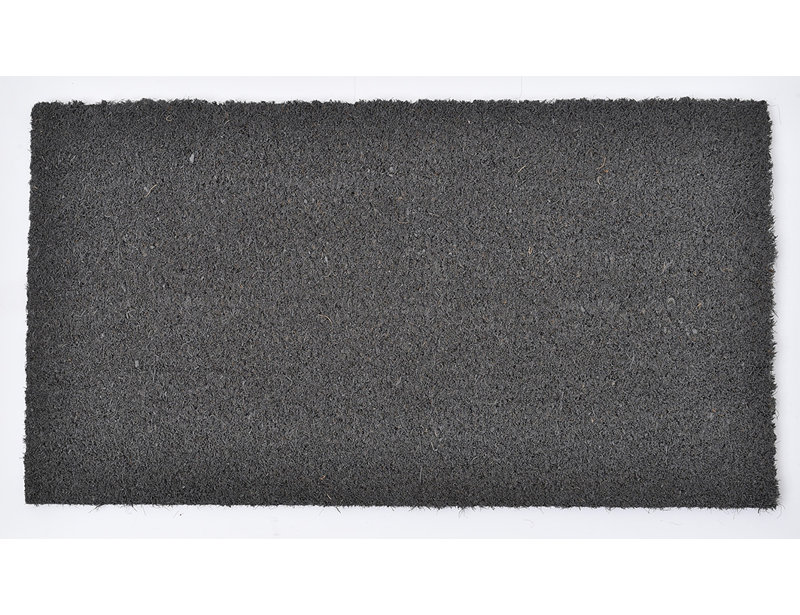 Sheltered Coir Coco Fiber Outdoor Door Mat & Reviews AllModern